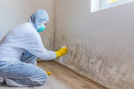 Best Industrial Mold Remediation  in Havelock, NC