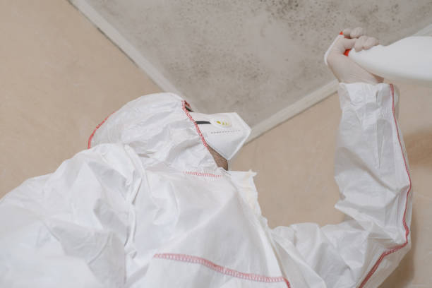 Best Emergency Mold Remediation  in Havelock, NC